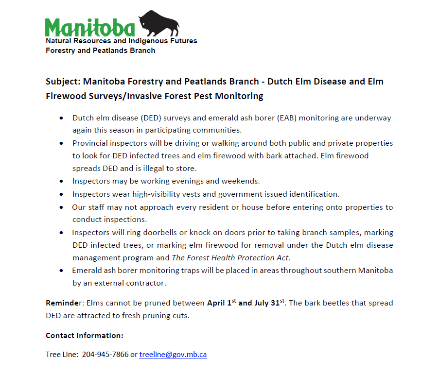 Dutch Elm Notice June 2026